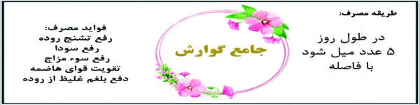 جامع گوارش