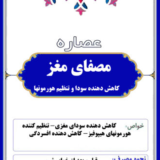 مصفای مغز