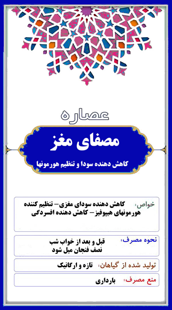 مصفای مغز