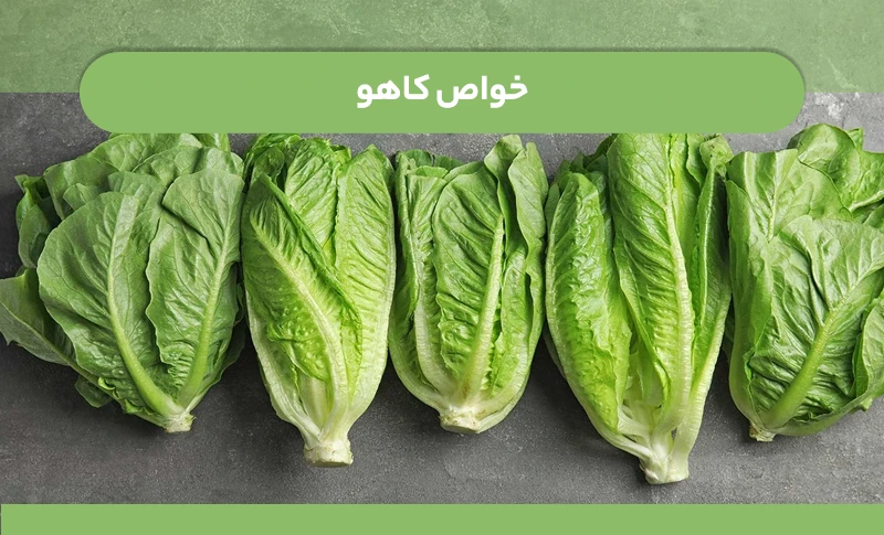 کاهو